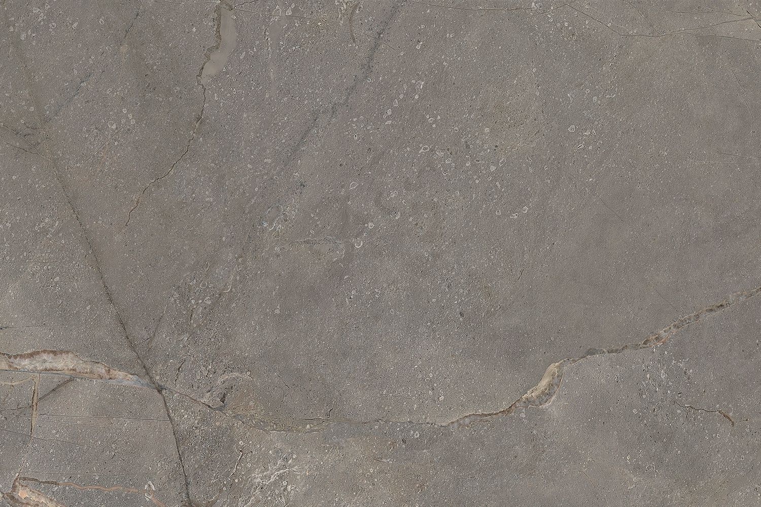 Alpe-gris-textura